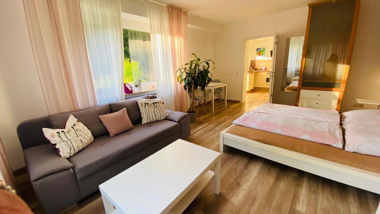 Ferienwohnung Koko سولينجين المظهر الخارجي الصورة